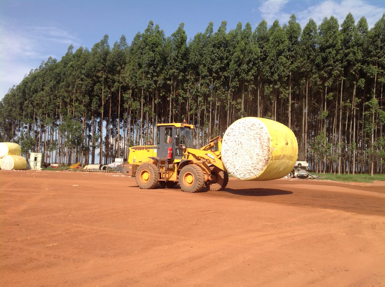 Cotton gin yard safety audit in Brazil
